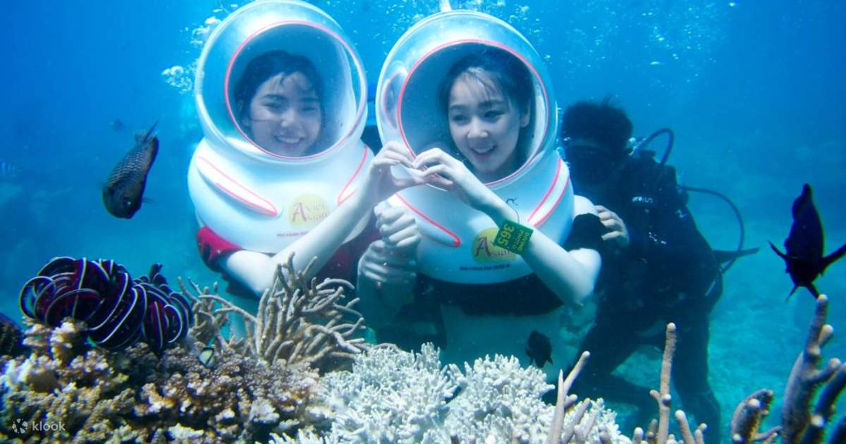 Tại đây, du khách có thể lặn ngắm rạn san hô, bơi qua các khe đá và quan sát sinh vật biển trong môi trường tự nhiên. Nhiều tour lặn kèm huấn luyện cơ bản, phù hợp cả với người mới bắt đầu. Ảnh Internet