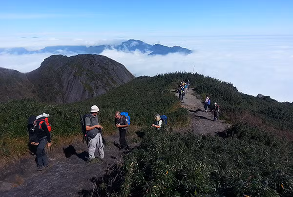 Trekking giữa núi rừng Sa Pa: Vùng núi quanh đỉnh Fansipan – nóc nhà Đông Dương – là nơi lý tưởng để trekking. Từ các bản làng nhỏ bên thung lũng Mường Hoa đến những cung đường xuyên rừng kéo dài nhiều ngày, Sa Pa mang đến trải nghiệm đa dạng cho người ưa vận động. Du khách có thể chọn leo đỉnh Fansipan theo đường mòn hoặc di chuyển bằng cáp treo, đồng thời tham gia các tour trekking tổ chức sẵn hoặc đặt trước qua công ty lữ hành chuyên nghiệp. Ảnh Internet
