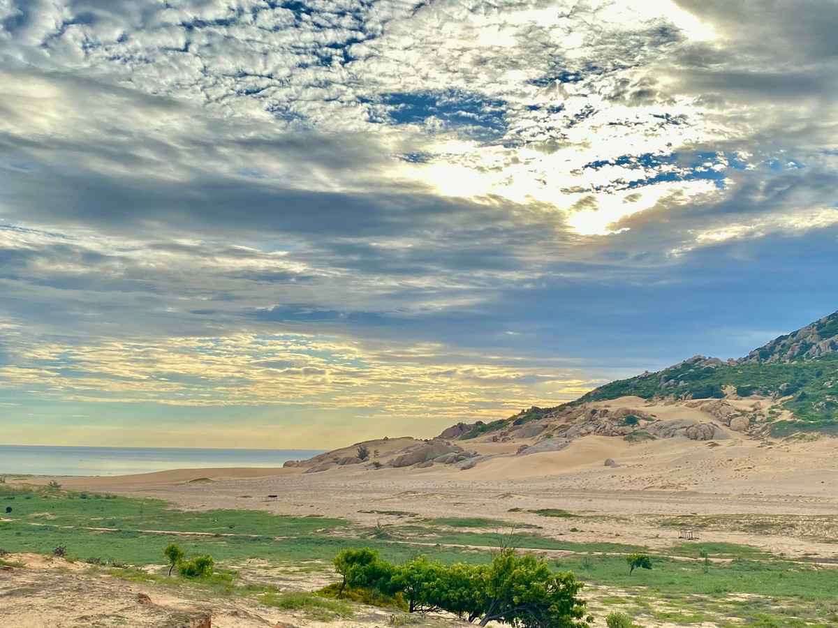 Những dãy cát trắng phẳng lặng, xen lẫn với những triền cỏ khô, những đụn cát cao vút tạo nên một khung cảnh vừa huyền bí, vừa huy hoàng, làm người ta liên tưởng đến những vùng đất xa xôi, chưa được khám phá. Ảnh Internet