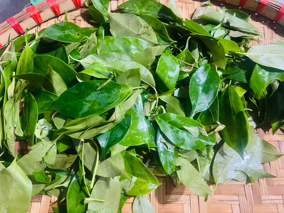 Lá lồm là “linh hồn” của món ăn. Không chua gắt như me hay chanh, lá lồm mang đến vị chua dịu, thanh mát, giúp làm mềm thịt, khử mùi và tạo ra một lớp nước sánh nhẹ đầy hấp dẫn.