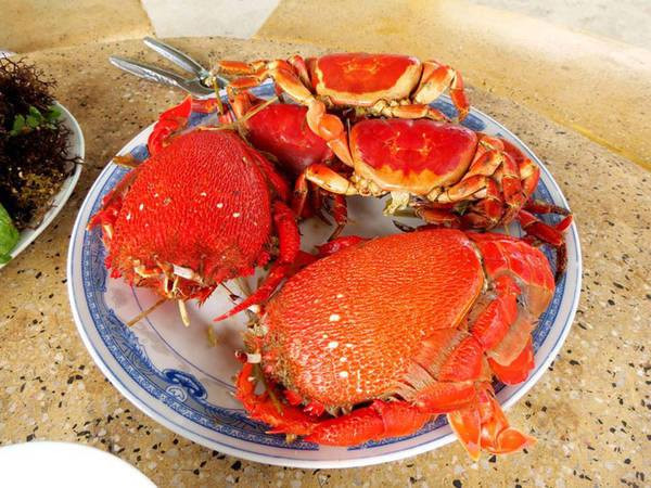 Với hình dáng độc đáo và lớp vỏ đỏ đặc trưng, cua huỳnh đế là món ăn sang trọng và đầy hấp dẫn. Thịt cua chắc, ngọt, có thể hấp, nướng hay xào đều ngon, đặc biệt khi chấm cùng muối tiêu chanh càng thêm trọn vị. Ảnh Intrenet