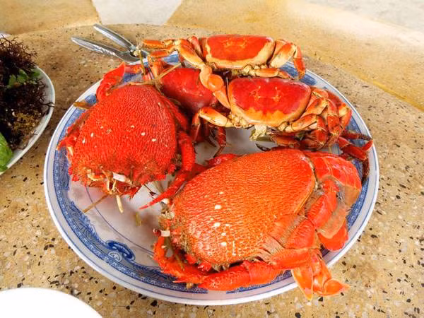 Với hình dáng độc đáo và lớp vỏ đỏ đặc trưng, cua huỳnh đế là món ăn sang trọng và đầy hấp dẫn. Thịt cua chắc, ngọt, có thể hấp, nướng hay xào đều ngon, đặc biệt khi chấm cùng muối tiêu chanh càng thêm trọn vị. Ảnh Intrenet