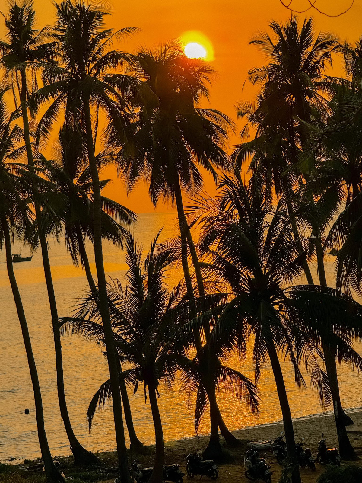 Tại Nam Du, du khách có thể thuê tàu tham quan các đảo nhỏ như Hòn Mấu, Hòn Ngang, Hòn Dầu… Mỗi hòn đảo đều mang nét đặc trưng riêng: nơi có làng chài thân thiện, nơi có rạn san hô nhiều màu sắc, nơi lại mang vẻ đẹp hoang vu như chưa có dấu chân người. Ảnh Chuyến đi của Tali