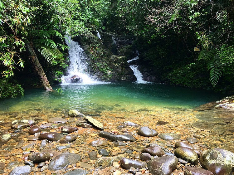 Khong duoc to chuc an nhau tuy tien trong Vuon quoc gia Bach Ma-Hinh-2