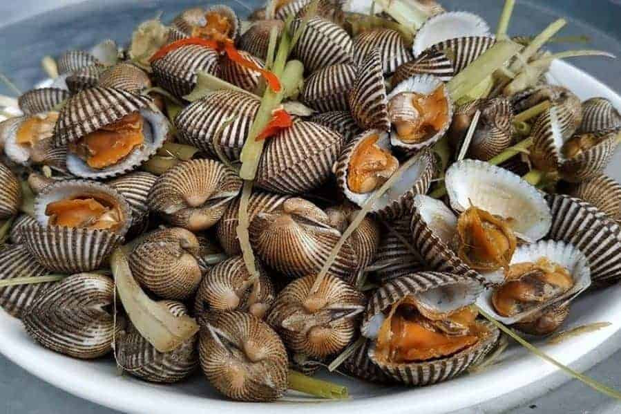 Sò huyết sông Roòn là một đặc sản không thể bỏ qua ở Quảng Bình. Sò huyết ở vùng sông này có thể được chế biến thành rất nhiều món ăn, nhưng đặc sắc nhất có lẽ là sò huyết tái chanh và sò huyết chần nước mắm. Với cách chế biến độc đáo cùng với nguyên liệu tươi ngon bổ dưỡng, món ăn này chắc chắn sẽ là đặc sản không thể bỏ qua khi du lịch Quảng Bình. Ảnh Internet