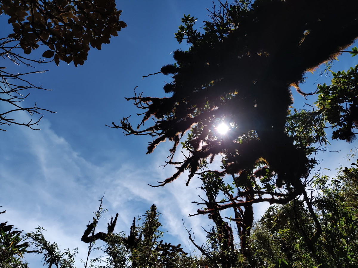 Cung đường trekking Tả Liên Sơn kéo dài khoảng 7–9km, thường được thực hiện trong 2 ngày 1 đêm.