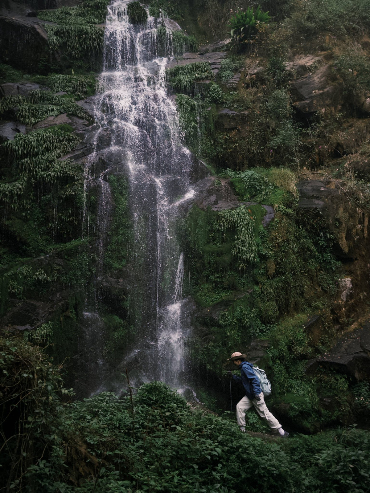 Mỗi bước chân xuyên qua rừng rêu ẩm mát, mỗi nhịp thở hòa cùng không khí núi rừng, mỗi khoảnh khắc lặng im giữa thiên nhiên đều giúp người đi tìm lại sự bình yên bên trong chính mình. Ảnh Hoàng Ba Đình