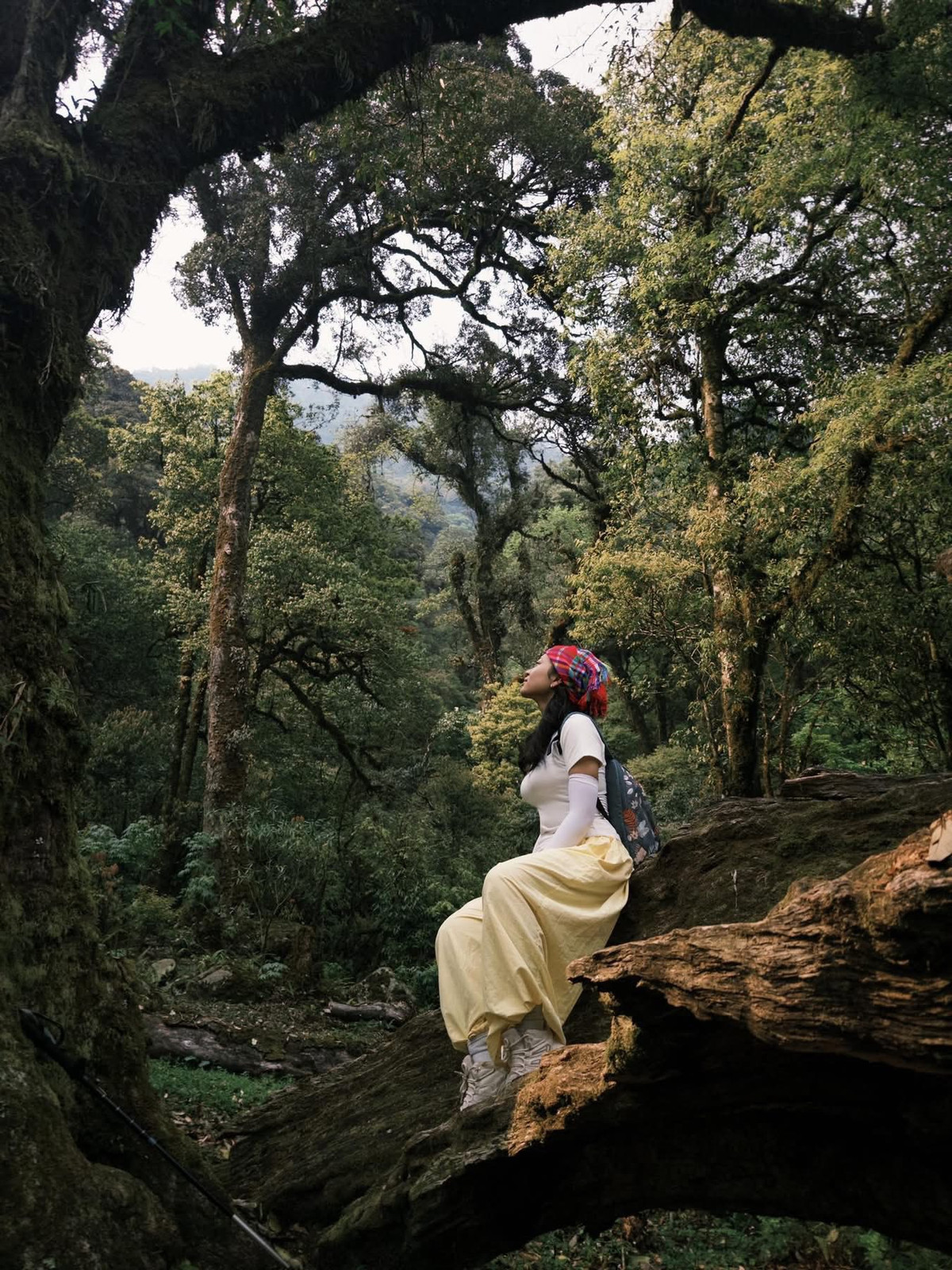 Điểm đặc biệt là vẻ đẹp thay đổi theo từng mùa: mùa xuân có hoa đỗ quyên, mùa thu là sắc đỏ của lá phong, mùa đông mây mù giăng lối, và mùa hè xanh thẳm ngút ngàn. Ảnh Hoàng Ba Đình