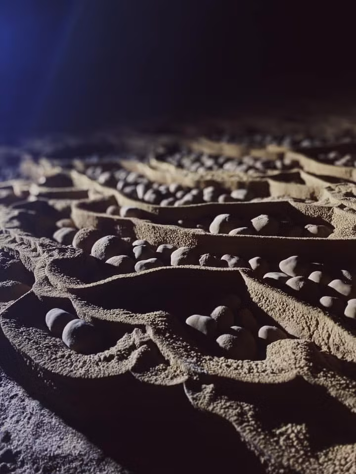 Không chỉ có kích thước khổng lồ, Sơn Đoòng còn sở hữu một hệ sinh thái riêng biệt. Nhờ có hai hố sụt tự nhiên lớn, ánh sáng mặt trời có thể xuyên vào hang, tạo điều kiện cho cây cối phát triển. Ảnh Internet