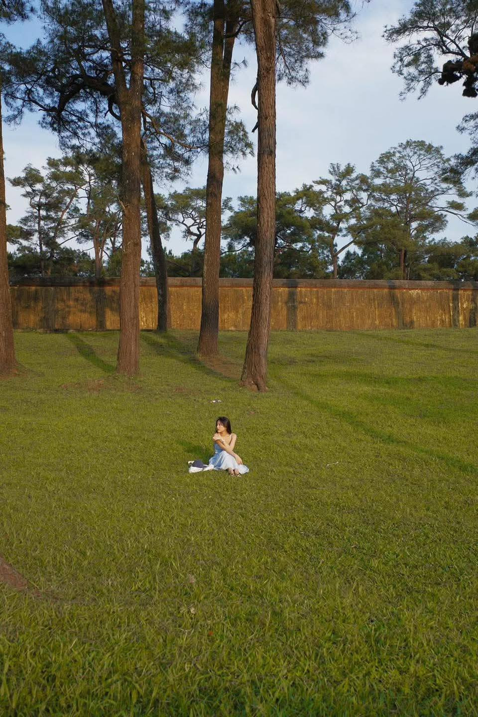 Thời điểm đẹp nhất để đến check-in rừng thông cổ là từ tháng 3 đến tháng 6 (trời nắng nhẹ, rừng thông xanh mướt, ánh sáng đẹp). Ảnh uy.uyne