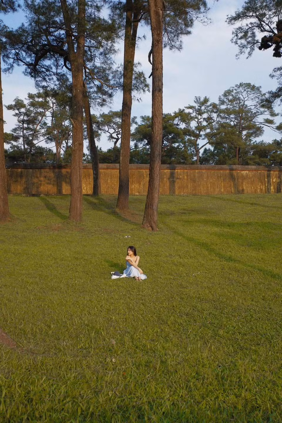 Thời điểm đẹp nhất để đến check-in rừng thông cổ là từ tháng 3 đến tháng 6 (trời nắng nhẹ, rừng thông xanh mướt, ánh sáng đẹp). Ảnh uy.uyne