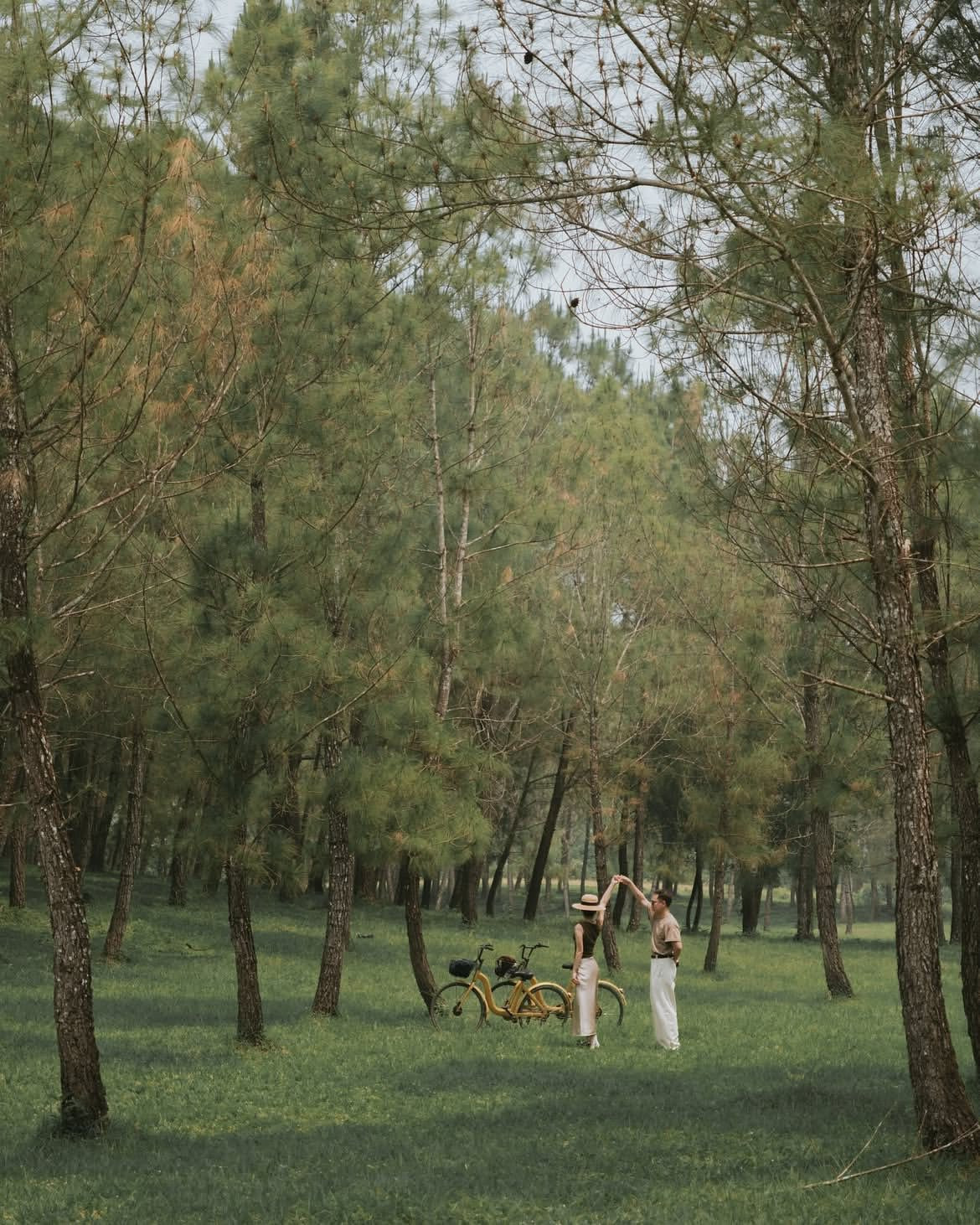 Vào những buổi sáng sớm hay chiều tà, ánh nắng len lỏi qua từng kẽ lá, tạo nên một bức tranh lung linh mơ màng, tựa như một cảnh phim điện ảnh châu Âu giữa lòng xứ Huế. Ảnh troc_photography