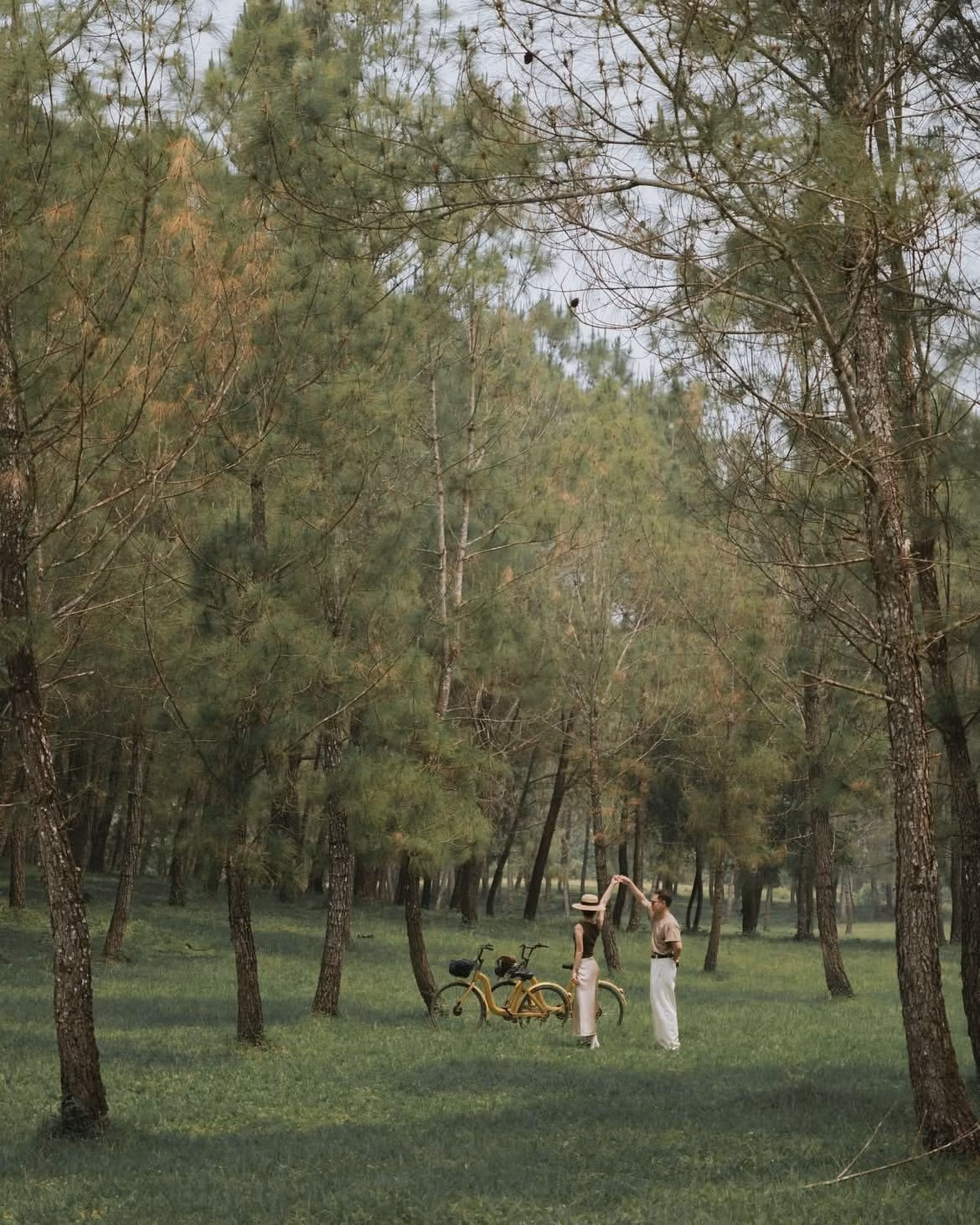 Vào những buổi sáng sớm hay chiều tà, ánh nắng len lỏi qua từng kẽ lá, tạo nên một bức tranh lung linh mơ màng, tựa như một cảnh phim điện ảnh châu Âu giữa lòng xứ Huế. Ảnh troc_photography