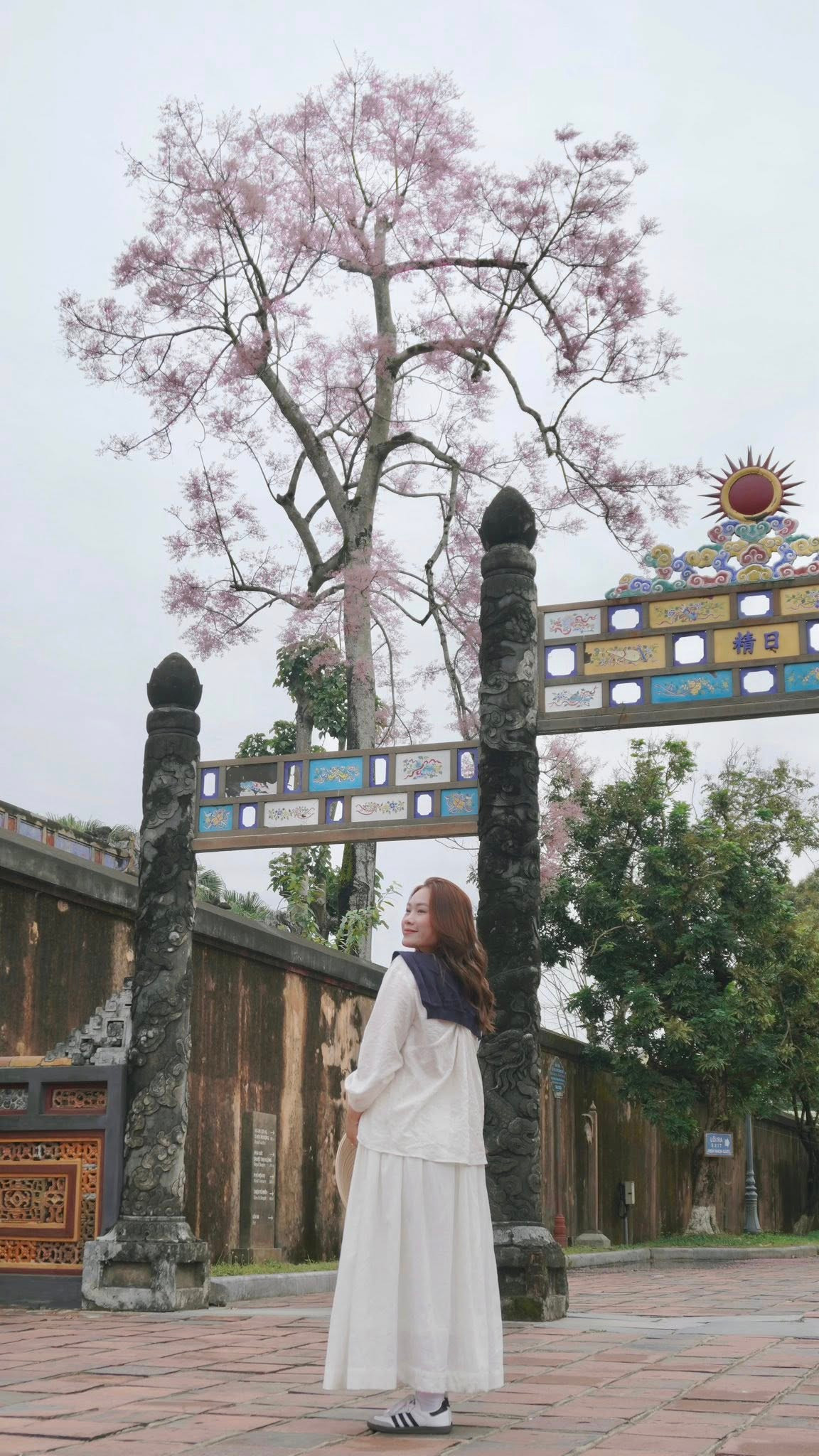 Mỗi dịp hoa nở, khu vực Đại Nội trở thành điểm hẹn của nhiều nhiếp ảnh gia, du khách và người yêu vẻ đẹp của Huế. Nhiều người chọn diện áo dài truyền thống, dạo bước dưới những tán hoa để ghi lại khoảnh khắc giao mùa đầy thi vị. Ảnh Lương Phương Trần