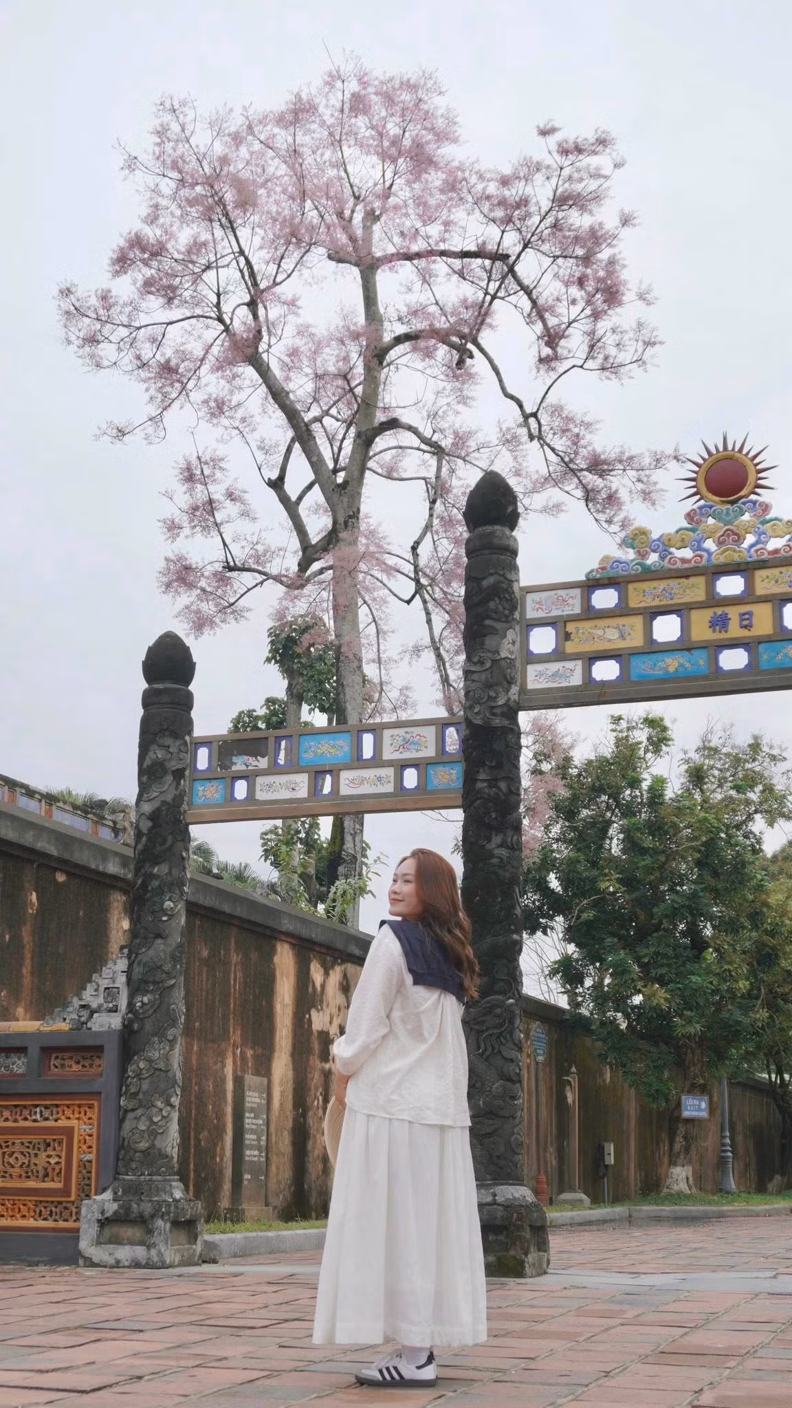 Mỗi dịp hoa nở, khu vực Đại Nội trở thành điểm hẹn của nhiều nhiếp ảnh gia, du khách và người yêu vẻ đẹp của Huế. Nhiều người chọn diện áo dài truyền thống, dạo bước dưới những tán hoa để ghi lại khoảnh khắc giao mùa đầy thi vị. Ảnh Lương Phương Trần