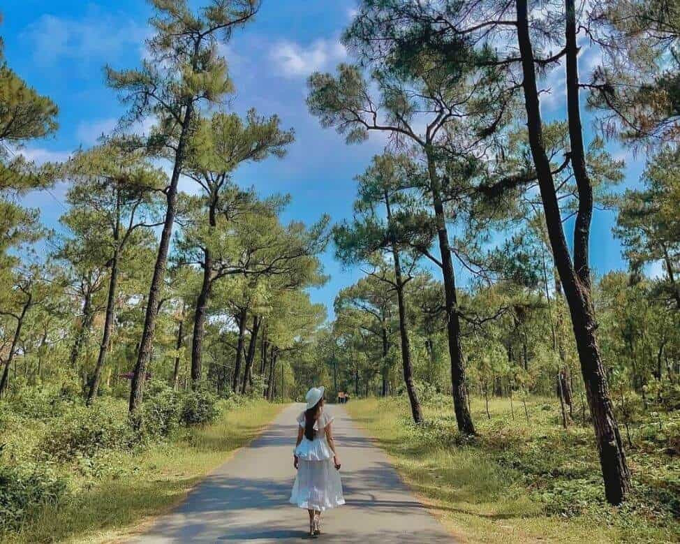 Nếu muốn tìm một nơi yên tĩnh, huyền bí và đậm chất “điện ảnh”, du khách không thể bỏ qua Đồi Thiên An và Hồ Thủy Tiên. Vẻ đẹp ma mị của khu công viên bỏ hoang giữa thiên nhiên hoang sơ sẽ khiến bất cứ tín đồ sống ảo nào cũng phải mê mẩn. Ảnh Internet