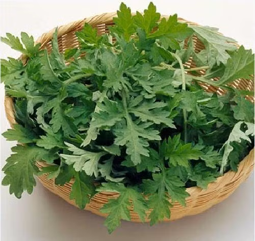 Xep mun, da trang, eo thon chi voi 1 nam rau ngai cuu