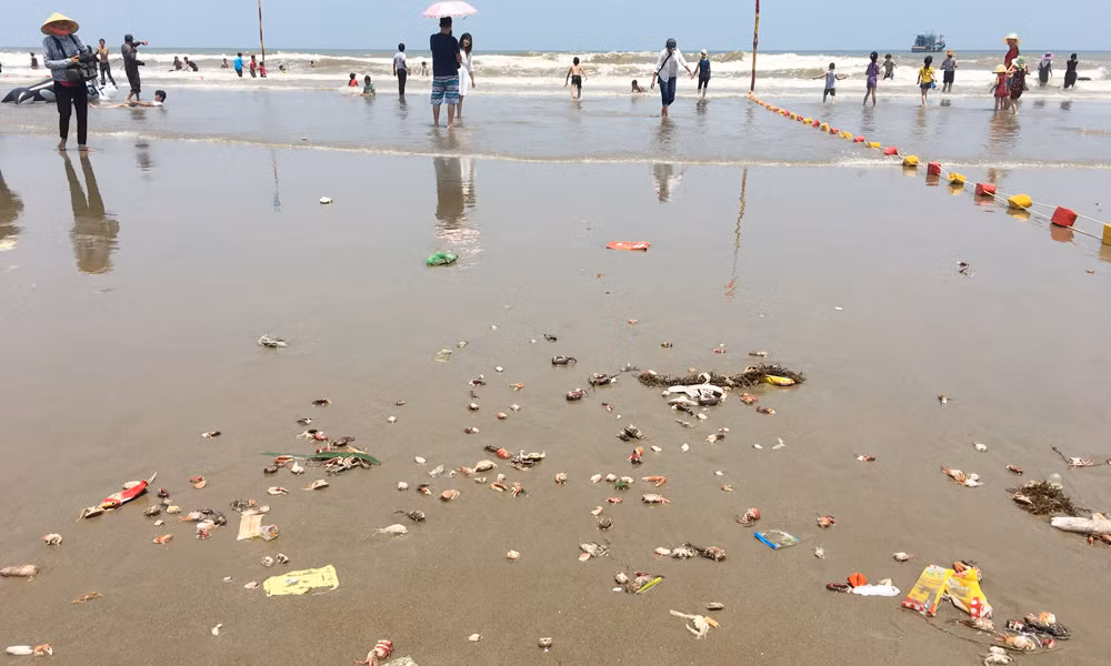 Sam Son: Du khach vo tu tam ben khe nuoc thai den-Hinh-9