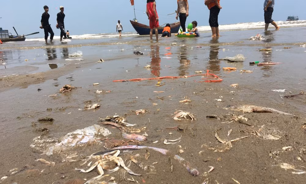 Sam Son: Du khach vo tu tam ben khe nuoc thai den-Hinh-12