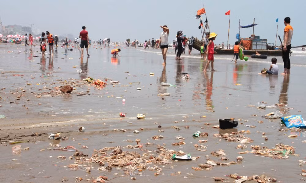 Sam Son: Du khach vo tu tam ben khe nuoc thai den-Hinh-5