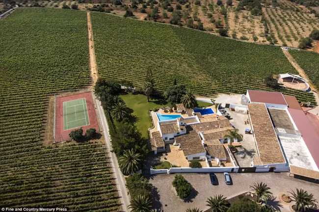 Toàn cảnh căn biệt thự và vườn nho rộng bát ngát. Ảnh: DM.