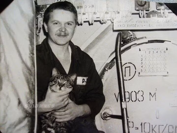 Mèo xuất hiện trên cả các tàu ngầm hạt nhân cực kỳ hiện đại của Nga. Nguồn ảnh: Sina.