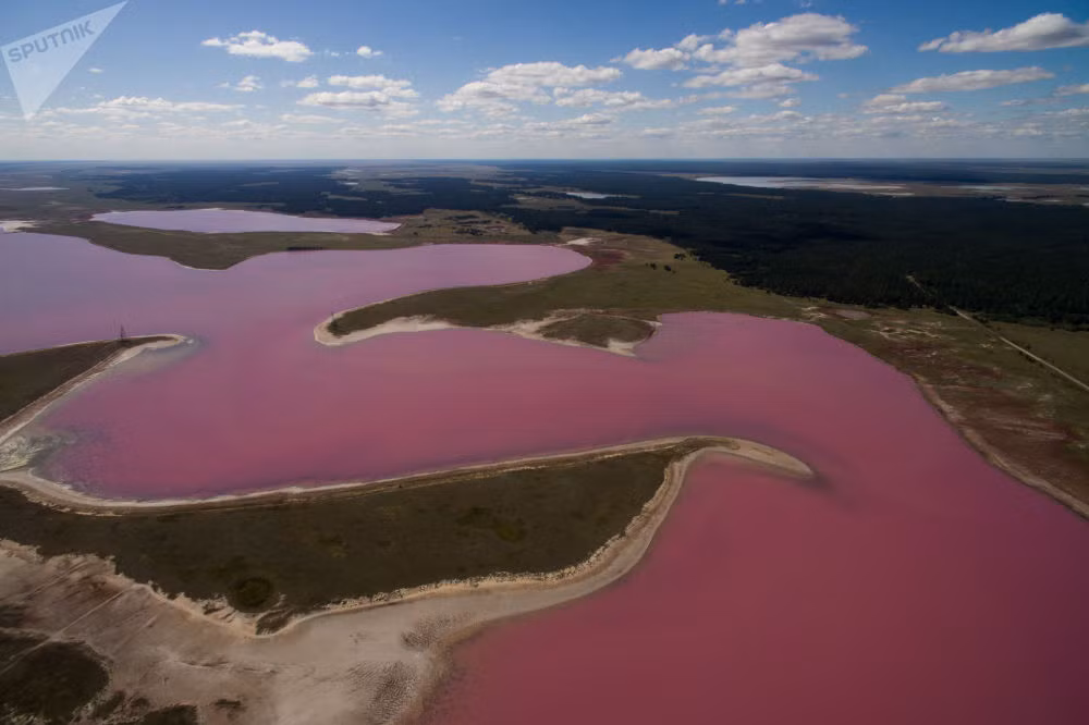 Cùng ngắm những hồ muối nước hồng ở Altai Krai tuyệt đẹp qua chùm ảnh của Sputnik. Việc ngâm mình trong là nước mặn của hồ được cho là rất có lợi cho sức khỏe. Ảnh: Sputnik.