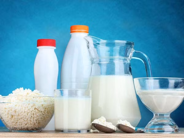 Tránh sản phẩm sữa: Tránh tiêu thụ các sản phẩm từ sữa như sữa, phô mai, bơ, vv, vì sữa có thể gây ra sự tích tụ chất béo dư thừa trong dạ dày. Ảnh: Boldsky.