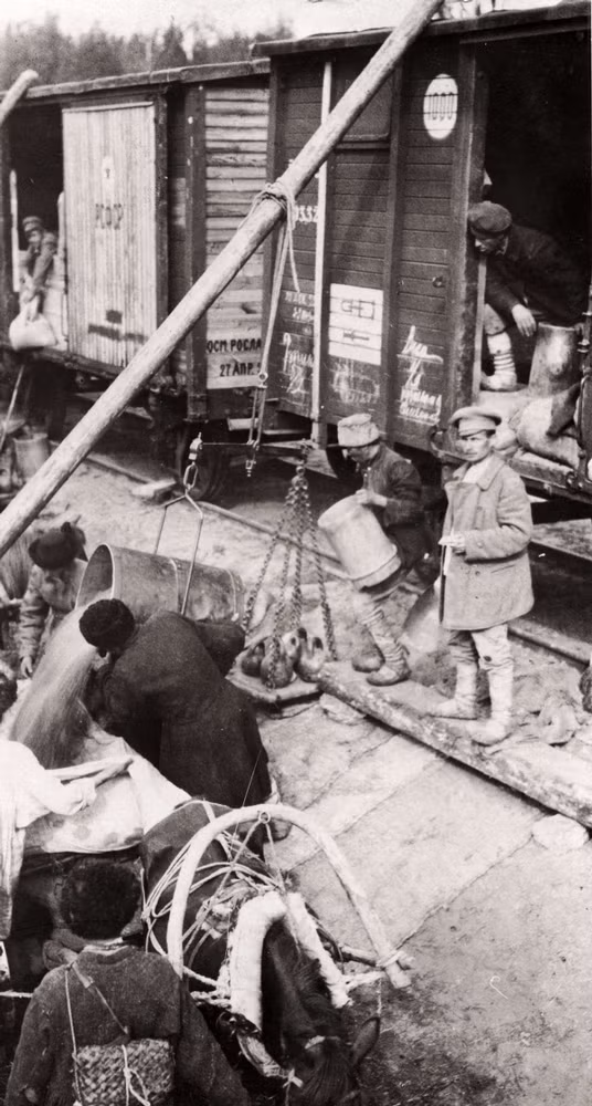 Phát thức ăn cho những người đói.