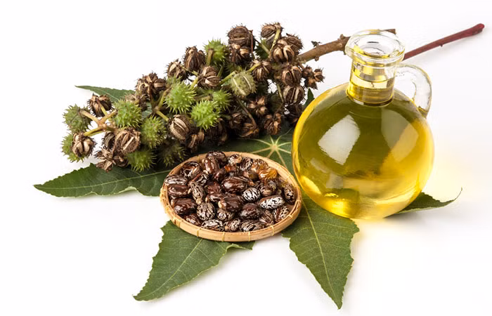 3. Kết hợp dầu dừa với tinh dầu thầu dầu: Nguyên liệu gồm 2-3 giọt dầu dừa, 2-3 giọt tinh dầu thầu dầu. Trộn đều hai loại dầu trên và sử dụng hỗn hợp này để massage mặt nhẹ nhàng. Để hỗn hợp này trên mặt càng lâu càng tốt, tốt nhất là qua đêm. Làm điều này mỗi ngày để xóa bay các nếp nhăn trên da mặt bạn. Ảnh: Shutterstock.