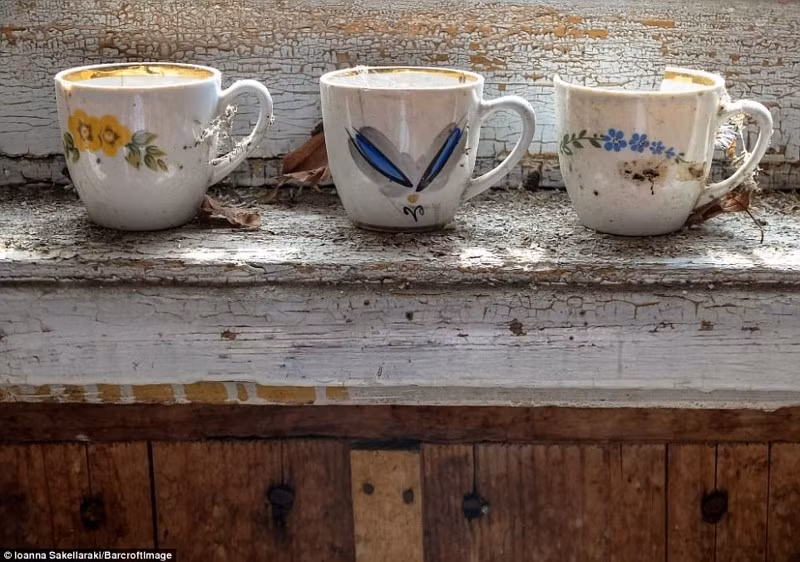 Những chiếc cốc trang trí phủ đầy bụi bặm. Ảnh: ER.