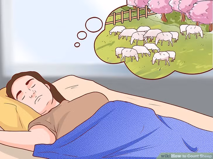 4. Đếm cừu: Tất nhiên là bạn không phải đếm cừu thật mà hãy thử lặp lại những “câu thần chú” khác. Mục đích ở đây là làm cho bộ não bị đánh lạc hướng bởi việc lặp đi lặp lại một suy nghĩ đơn giản trong đầu, điều này sẽ giúp dễ chìm vào giấc ngủ hơn.