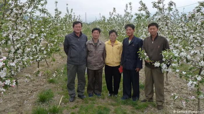 Các điều kiện khí hậu ở Triều Tiên rất thuận lợi cho việc trồng cây ăn quả. Vào những năm 1980, Bình Nhưỡng đã xuất khẩu trái cây, nhưng sau đó chuyển sang tập trung vào trồng ngũ cốc. Gần đây, Welthungerhilfe đã hỗ trợ xây dựng một số vườn ươm cây ăn quả ở Triều Tiên. Ảnh: DW.