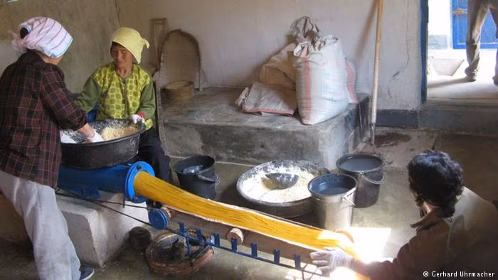 Tổ chức cứu đói của Đức đã hoạt động tại 5 tỉnh của Triều Tiên. Một trong những dự án lớn của họ là xây dựng các khu nhà kính ở ngoại ô các khu đô thị như thủ đô Bình Nhưỡng. Dự án này nhằm cải thiện sản xuất và chất lượng cây trồng. Ảnh: DW.