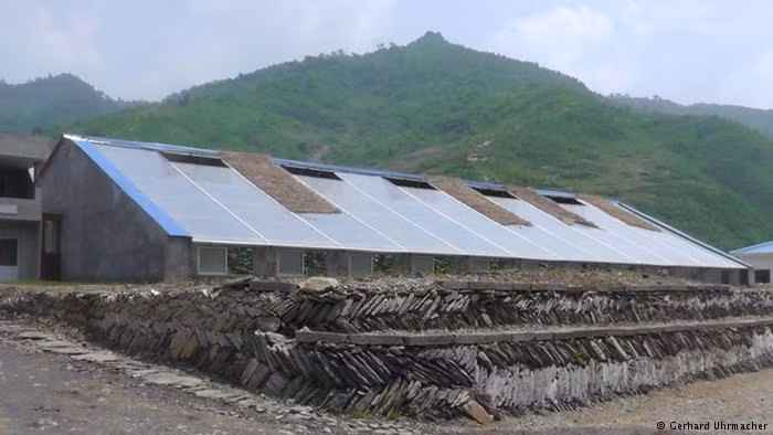 Welthungerhilfe đã xây dựng khoảng 700 nhà kính có kích cỡ khác nhau và mục đích sử dụng khác nhau ở nhiều nơi trên cả nước. Những nhà kính này được xây dựng trong những ngôi nhà nhỏ và trong những tòa nhà rộng 400 mét vuông. Người ta trồng cà chua mùa đông, dưa chuột và cà tím ở đây. Ảnh: DW.