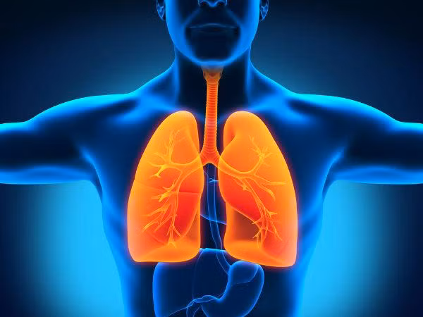 5. Điều trị bệnh suyễn và các bệnh nhiễm trùng phổi: Dầu neem có thể dùng trong điều trị bệnh hen vì dầu chứa các chất làm giảm phản ứng miễn dịch gây ra hen và dị ứng. Thêm vào đó, dầu neem cũng có hiệu quả kháng khuẩn mạnh mẽ. Ảnh: Boldsky.