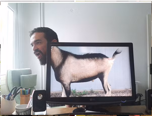 Đầu người, thân lừa?