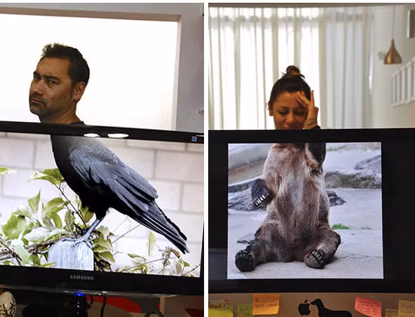 Những hình ảnh hài hước của các nhân viên văn phòng này thực sự khiến người xem thích thú.