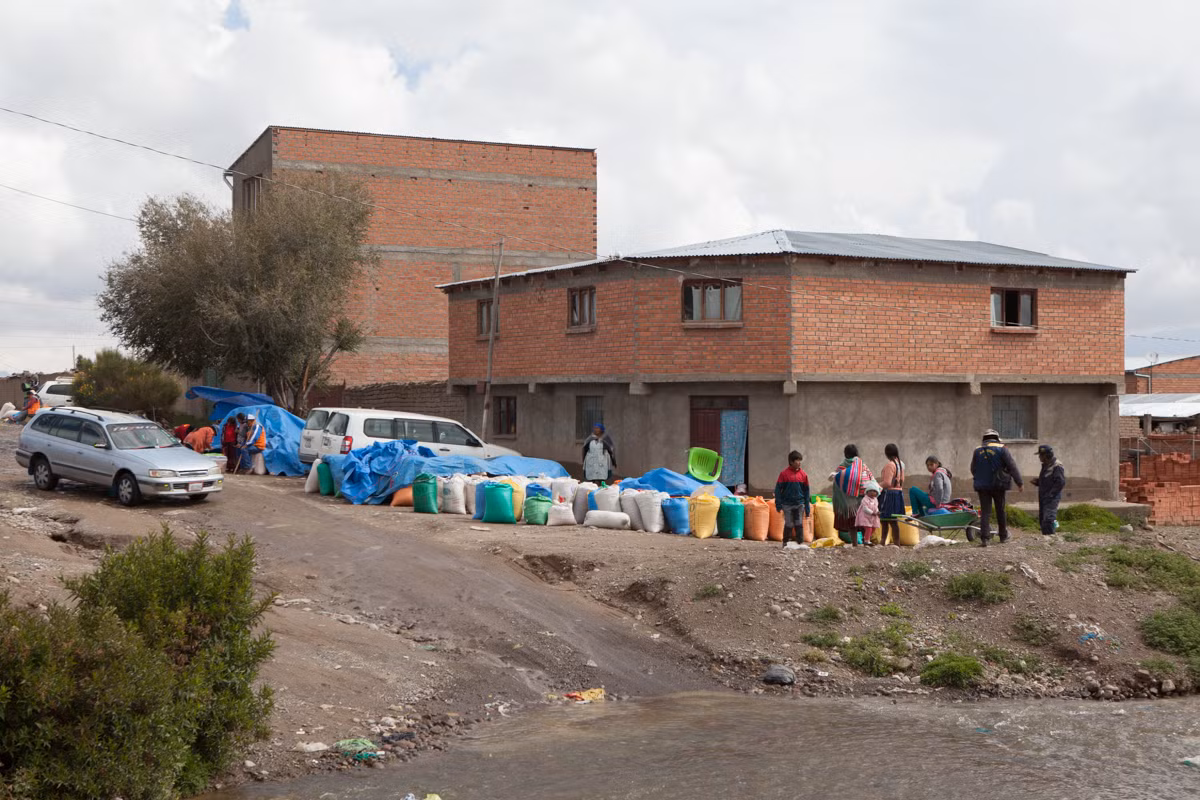 Mặc dù Bolivia và Peru đã từng chiếm tới 92% sản lượng quinoa trên thế giới nhưng giờ đây, các nước như Pháp, Anh, Canada và Ý đã bắt đầu trồng loại "thực phẩm vàng" này với năng suất cao. Ảnh: Al Jazeera.