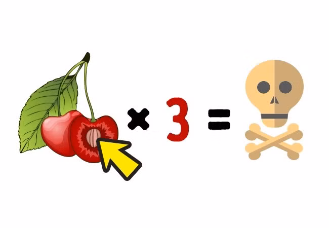 Hạt quả cherry: Hạt quả cherry chứa cyanide (cũng như quả mơ, quả đào). Do đó, một người có thể tử vong nếu ăn 3 hạt cherry. Ảnh: Brightside.