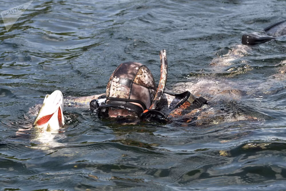 Tổng thống Putin lặn bắt cá măng. Ảnh: Sputnik.