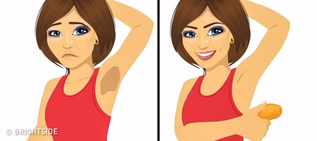 Khoai tây: Để cải thiện làn da ngăm đen, bạn có thể lấy một miếng khoai tây và chà nó lên nách trong khoảng 10 phút, sau đó rửa nó bằng nước ấm. Khoai tây có tính axit nhẹ hoạt động như chất tẩy trắng tự nhiên tuyệt vời. Ảnh sử dụng trong bài: Bright Side.