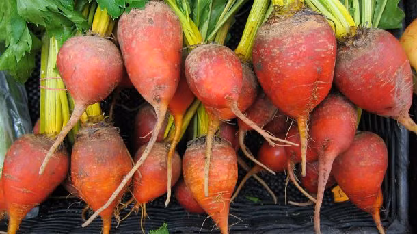 3. Củ cải: Củ cải thực sự có thể giúp cho làn da của bạn căng mịn và cân bằng. Ngoài ra, thực phẩm này có thể giúp chuyển hóa chất béo tốt hơn nhờ hàm lượng betain của chúng.