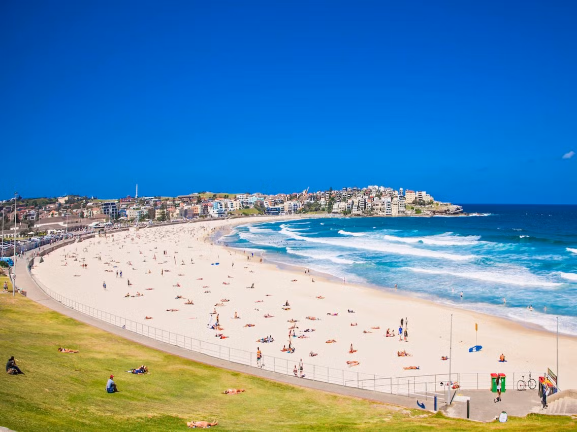 Cỏ bao quanh bãi biển Bondi ở Sydney, Australia, trông rất xanh và tươi tốt.