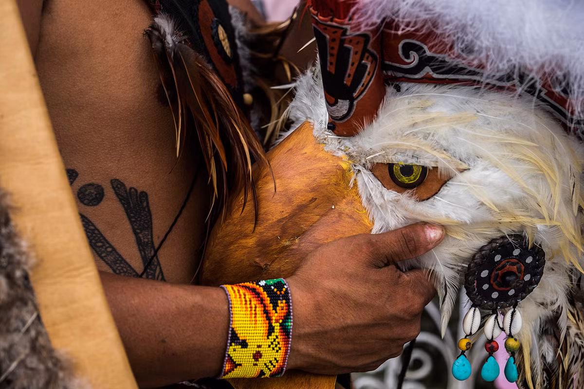 Trong nghi lễ này, những người biểu diễn sẽ nhảy quanh một cây cao 30 mét, sau đó leo lên trên nó. Bốn vũ công đại diện cho bốn yếu tố: nước, gió, đất và lửa. Ảnh: Al Jazeera.