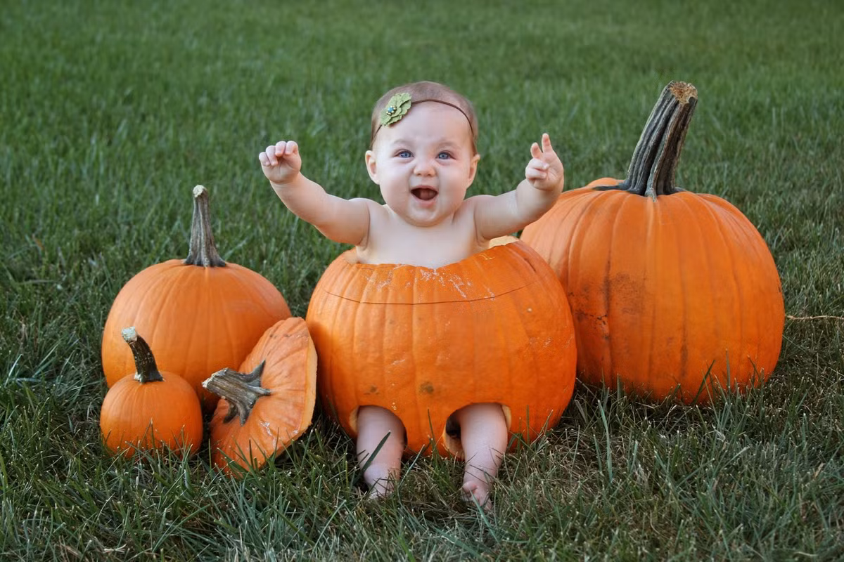 "Mẹ ơi, bế con nào!". Ảnh: Blogspot.