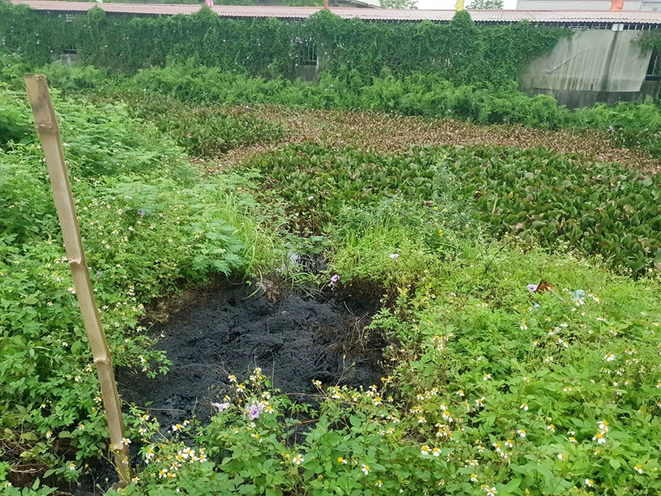 Muong nuoc chat thai doc hai o Hai Phong: Can canh nhung ho nuoc den xi-Hinh-5