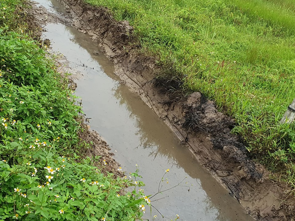 Muong nuoc chat thai doc hai o Hai Phong: Can canh nhung ho nuoc den xi-Hinh-4