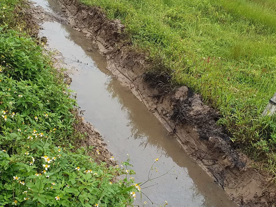 Muong nuoc chat thai doc hai o Hai Phong: Can canh nhung ho nuoc den xi-Hinh-4