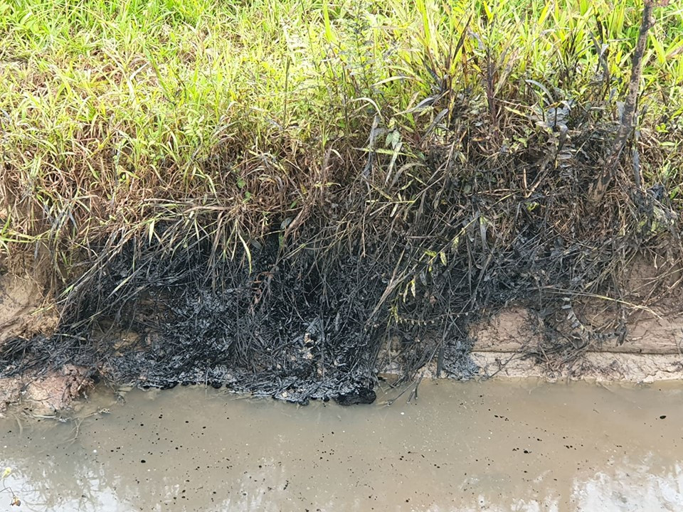 Muong nuoc chat thai doc hai o Hai Phong: Can canh nhung ho nuoc den xi-Hinh-6